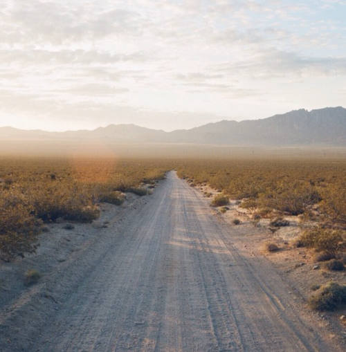 Winding Desert Dirt Road Sunset Landscape