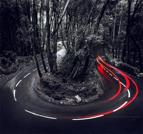 Night Forest Road Landscape Photography