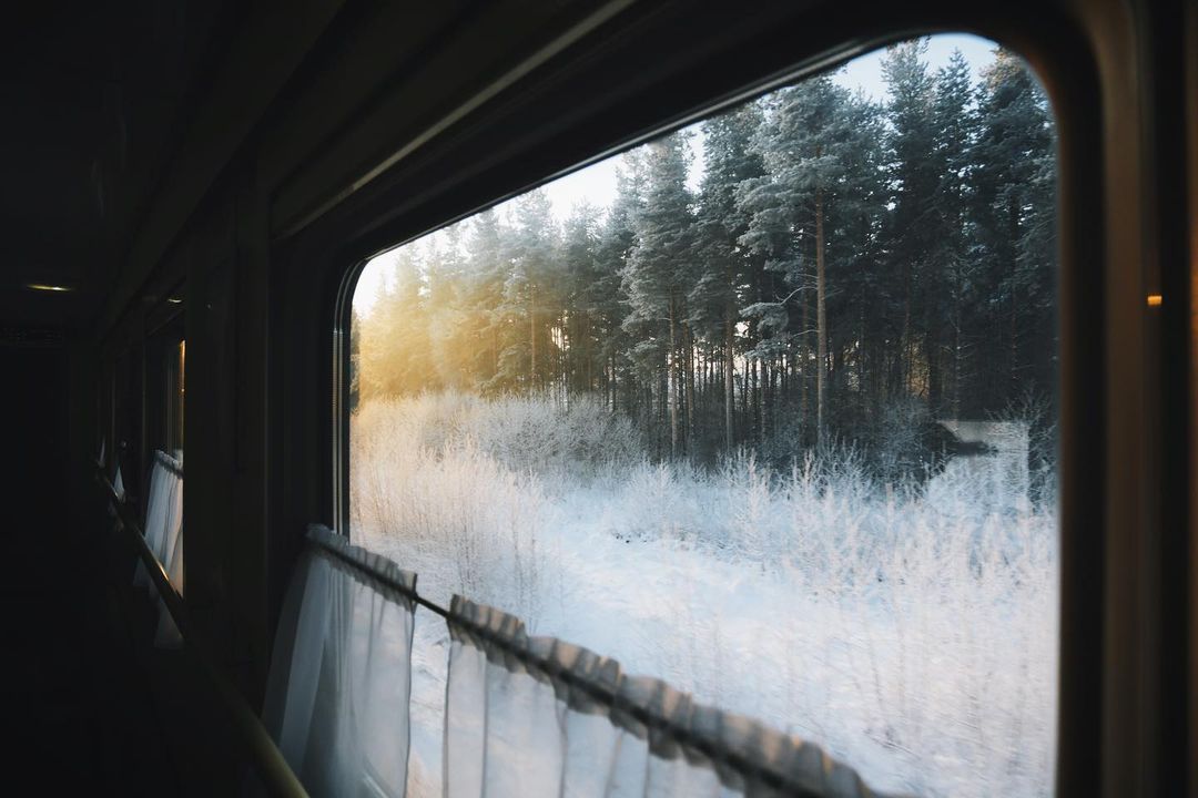 Snowy Evergreen Forest Landscape Train View