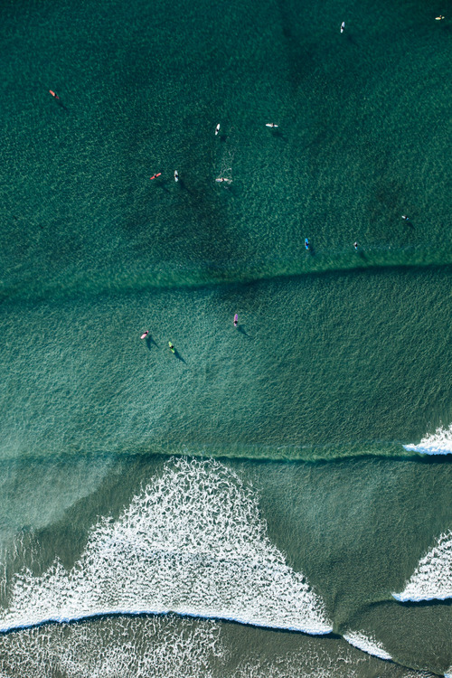 Aerial View Of Ocean Swimmers