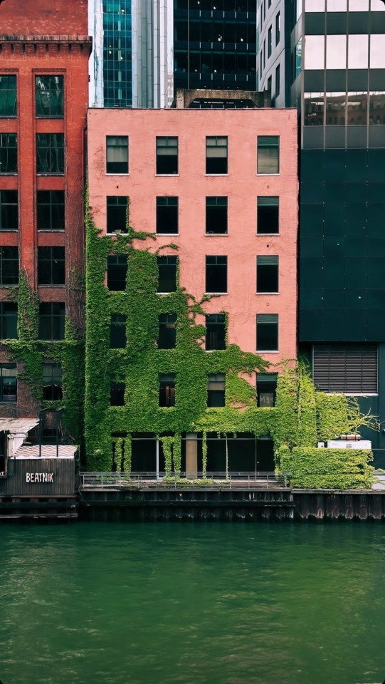 Urban Abandoned Building Nature Reclamation