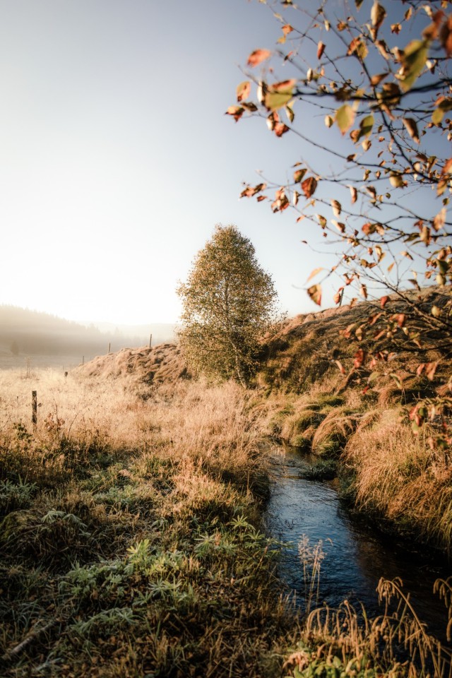 Autumn Valley Landscape Photography