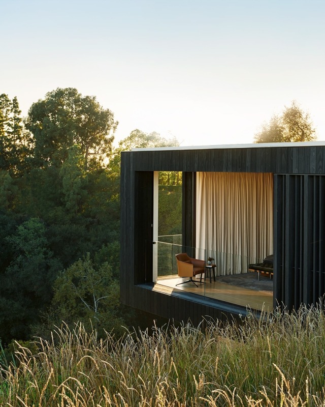 Modern Woodland Retreat Nature Landscape