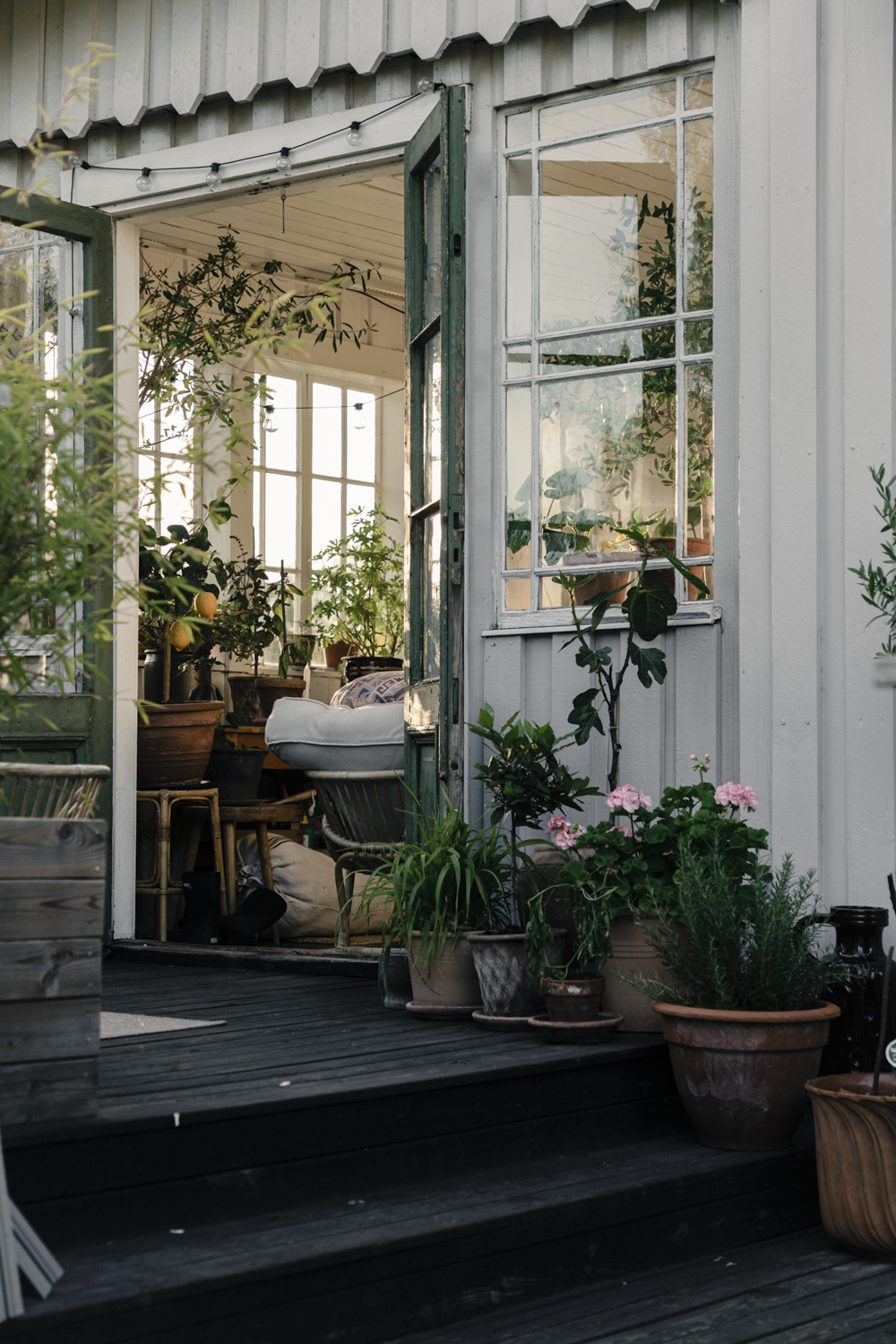 Lush Greenhouse Interiors Urban Retreat