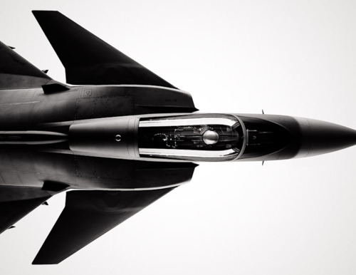 Detailed Fighter Jet Tarmac Portrait