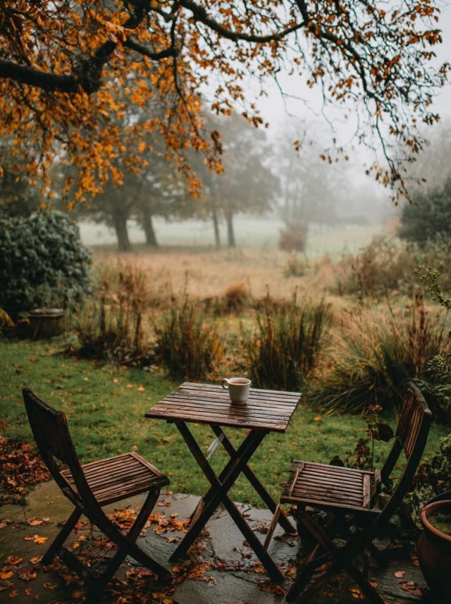 Autumn Leaves Wooden Table Chairs Misty Forest