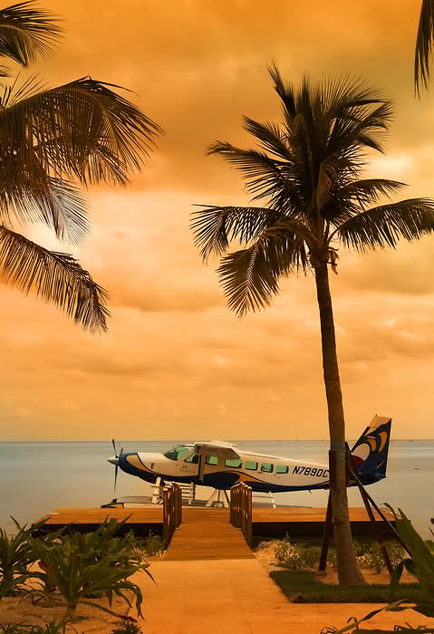 Tropical Beach Seaplane Aerial Landscape