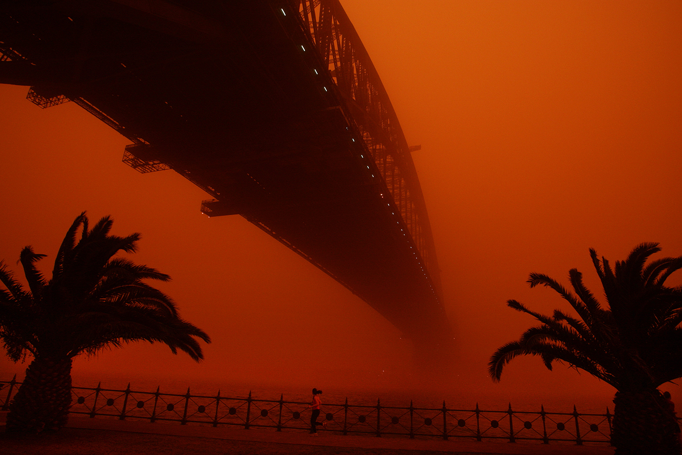 Sydney Harbor Bridge Sunset Landscape