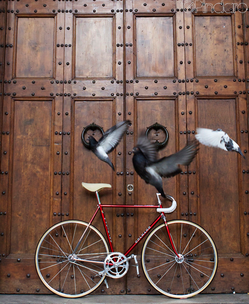 Bicycle Street Art Urban Landscape