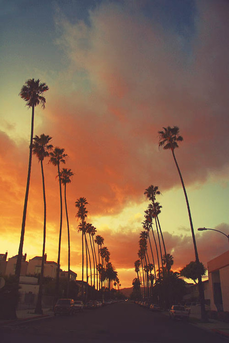 Towering palm trees line a classic Los Angeles boulevard under a spectacular sunset sky erupting in vivid oranges, pinks, and purples. The California architectural details flanking both sides complete this quintessential golden state scene.