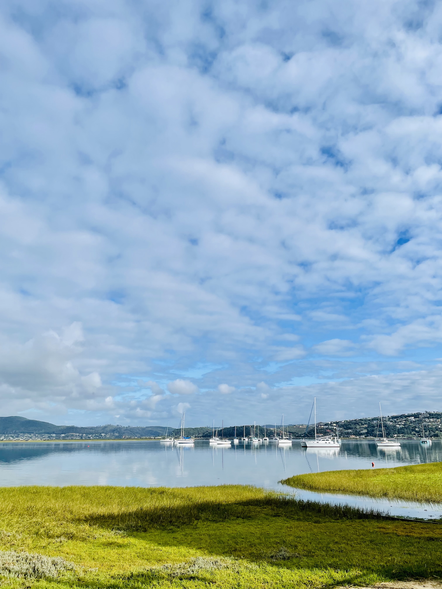 Cloudy Blue Sky Lakeside Sailboats Green Grass Knysna Leisure Isle