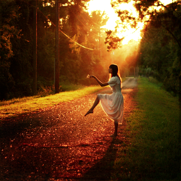 Dirt Path Sunlit Forest Landscape