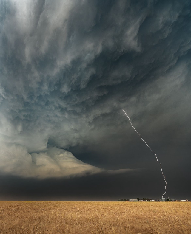 Dramatic Thunderstorm Wheat Field Landscape