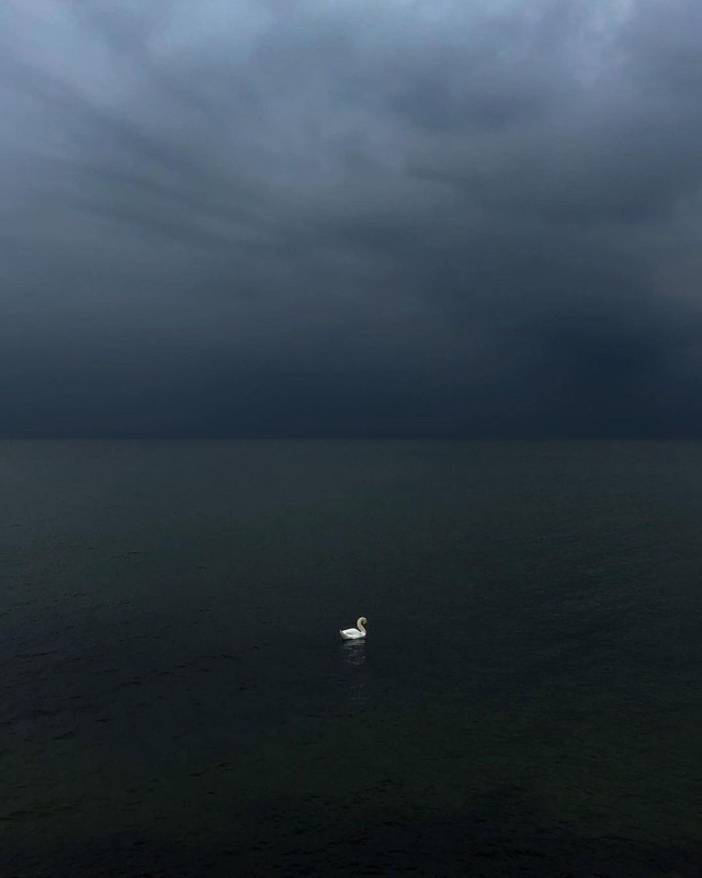 Dark Stormy Sky Swan Lake