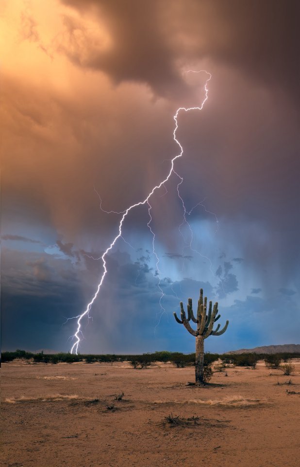 Desert Landscape Lightning Storm Saguaro Cactus