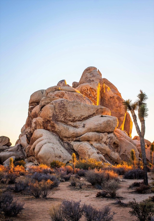 Desert Landscape Rocky Mountains Joshua Trees Sunset