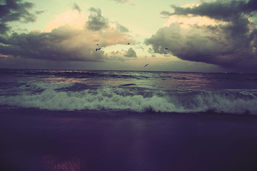 Coastal Sunset Landscape Photography