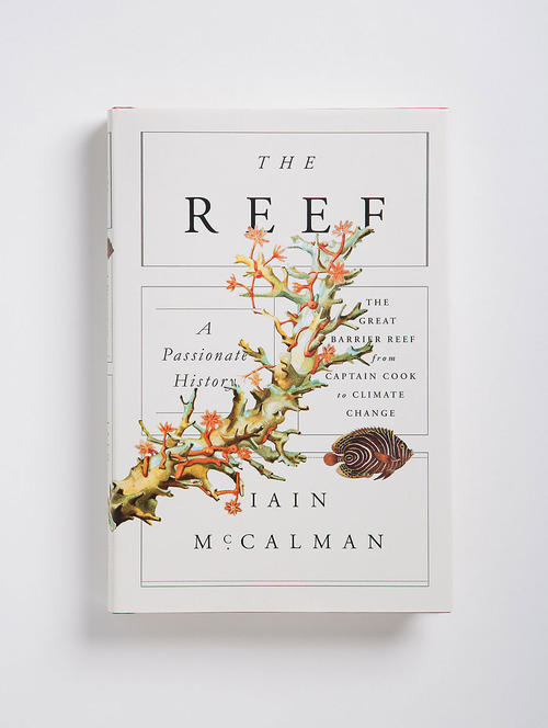 Coral Reef Nature Book Cover Illustration