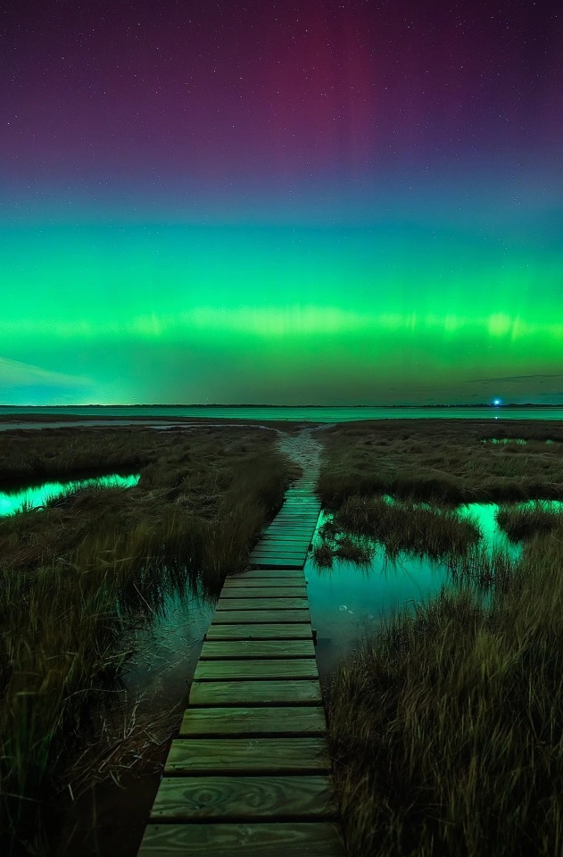 Green Wooden Path Marsh Stars Aurora Borealis Night Landscape