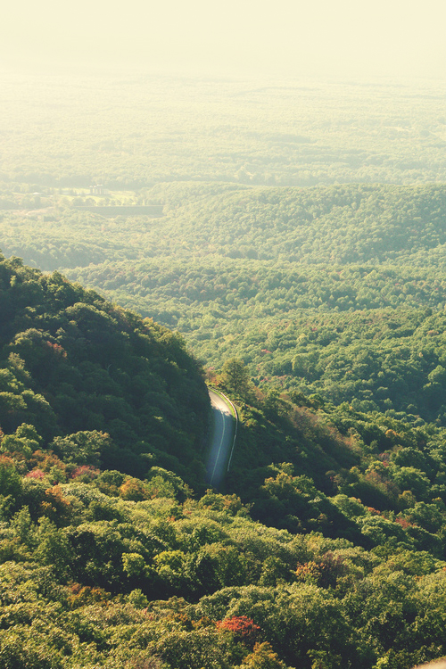 A winding mountain road cuts through dense forested hills bathed in golden hour light, with atmospheric haze creating layered depth across the undulating landscape. The asphalt ribbon serves as the only visible human presence in this vast wilderness expanse.