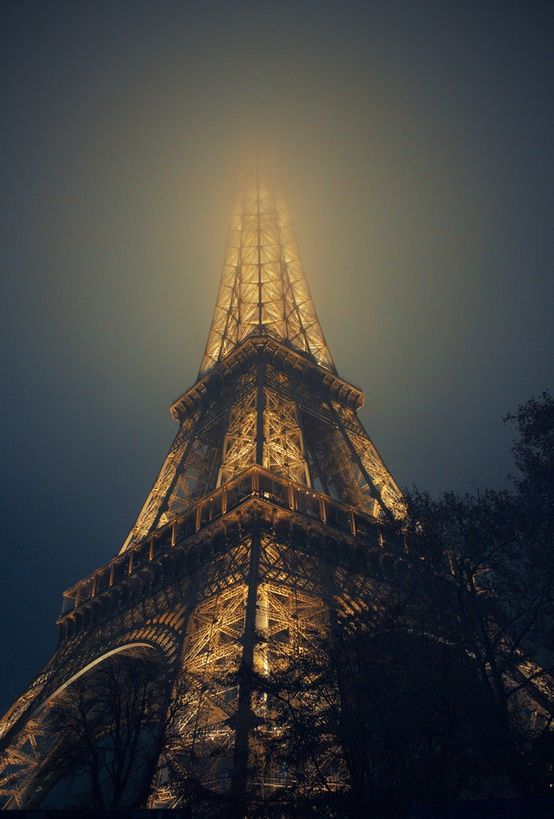 Illuminated Eiffel Tower Cityscape Night Photography
