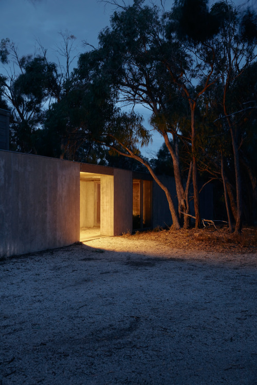 Illuminated Concrete Structures Eucalyptus Landscape