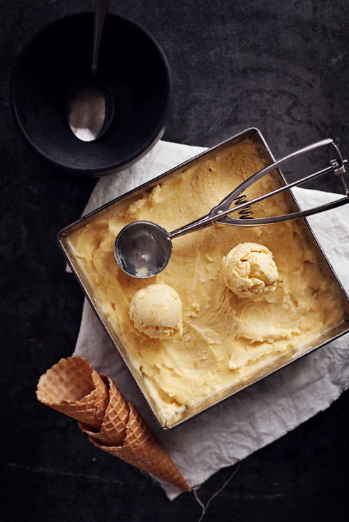 Creamy Homemade Ice Cream Kitchen Still Life