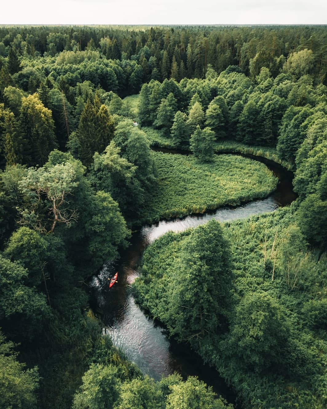 Evergreen Forest Kayak Landscape