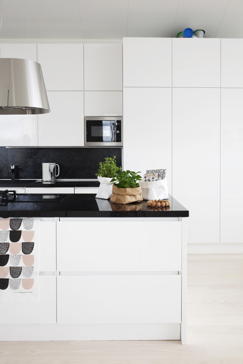Minimalist Scandinavian-style Kitchen Interior