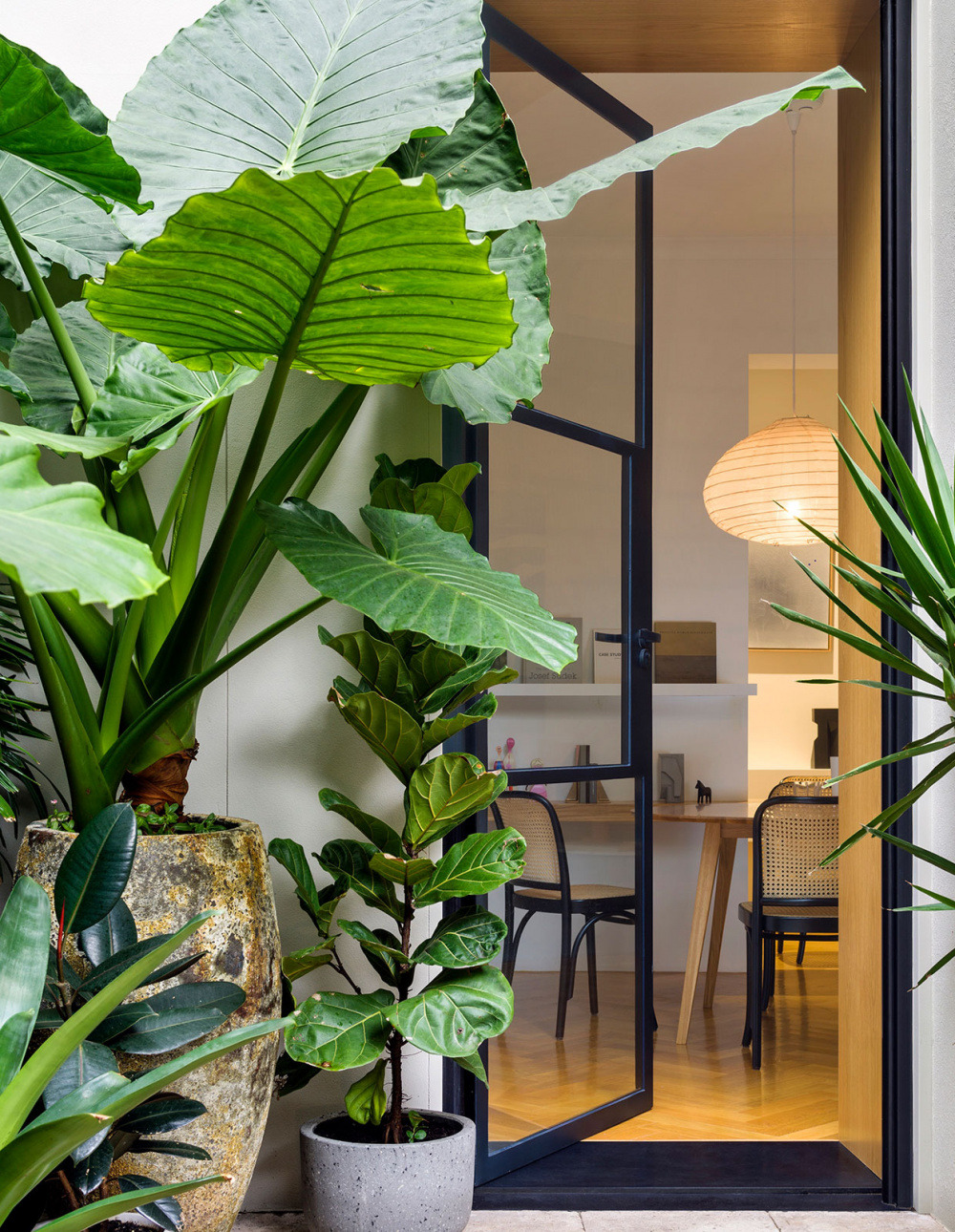 Lush Indoor Tropical Garden City Landscape