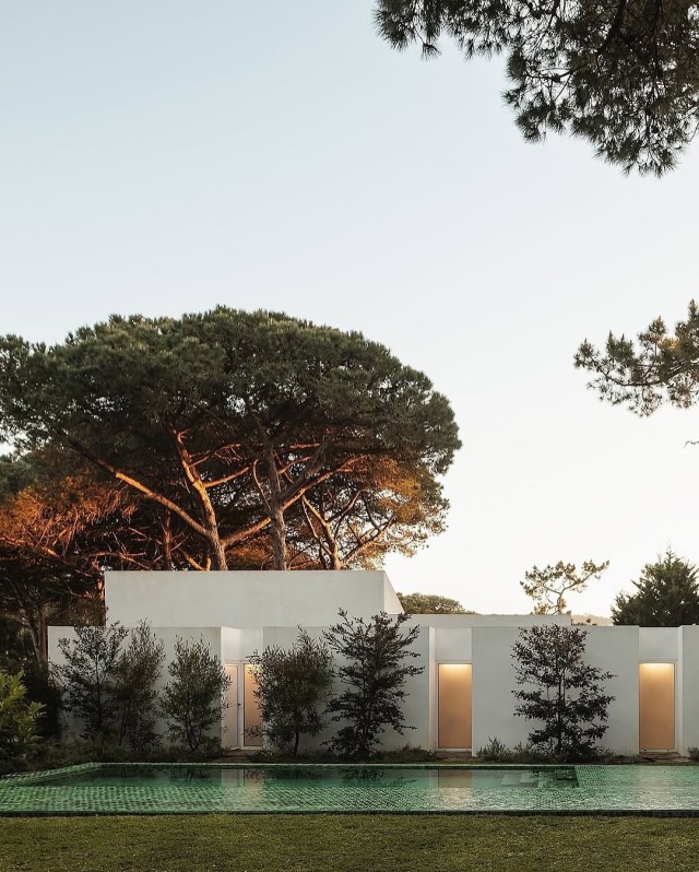 Modern White Architecture Pine Trees Pool