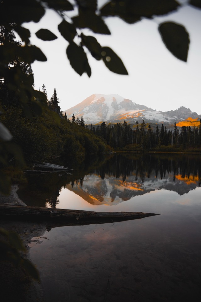Mountain Lake Forest Reflection Sunset