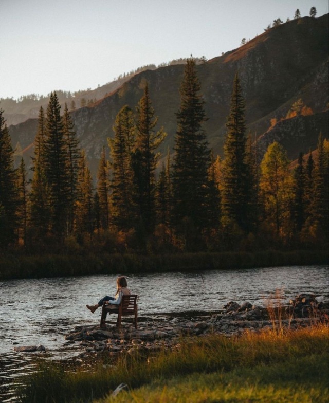 Mountain River Fall Forest Landscape