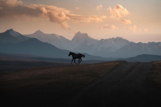 Mountain Silhouette Horse Landscape Wilderness