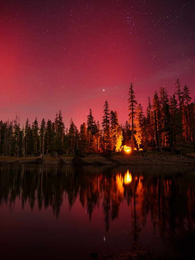 Night Forest Lake Reflection Trees Stars Campfire