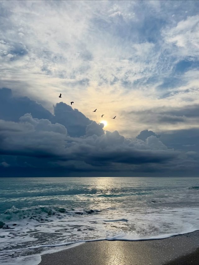 Ocean Sunset Storm Clouds Birds Flying