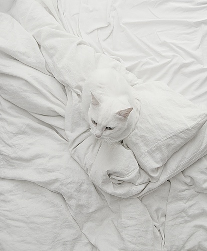 Cozy Bedsheet Landscape Photograph