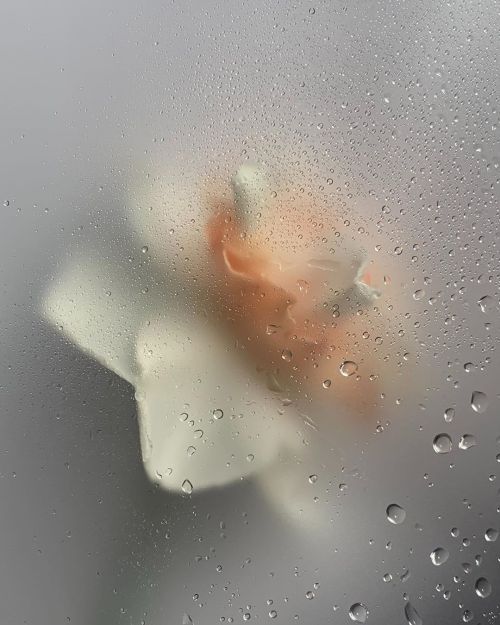 Rain-streaked Window Landscape Photography