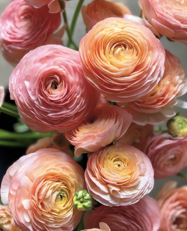 Pink Yellow Bouquet Floral Arrangement