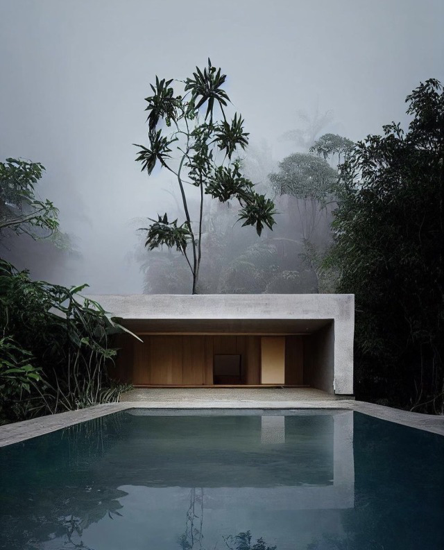 Lush Tropical Oasis Landscape Photography