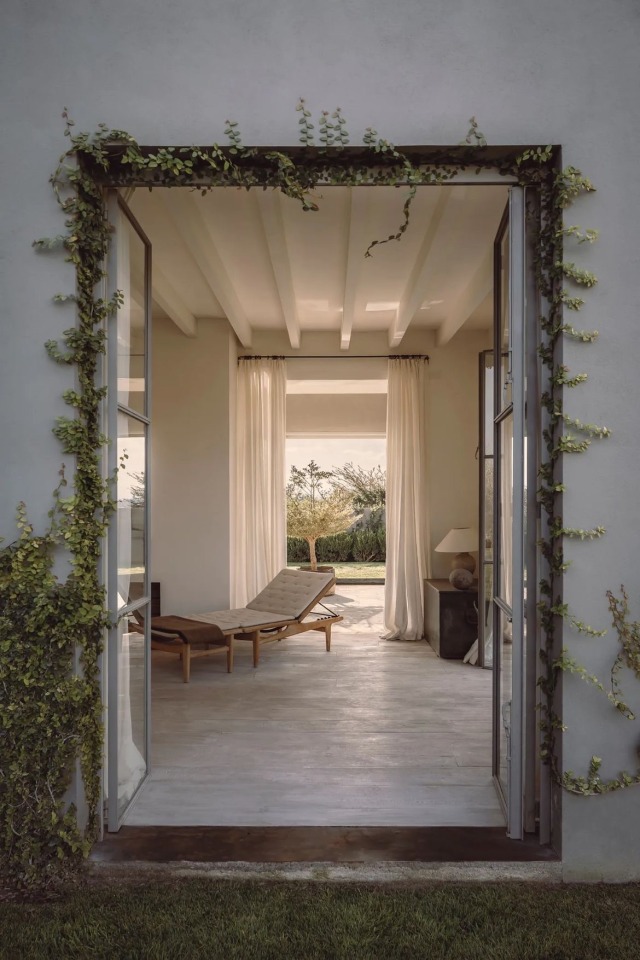 Lush Indoor Garden Oasis Photography