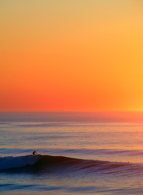 A surfer rides a wave at sunset, silhouetted against orange and coral skies that reflect across the ocean surface during golden hour.