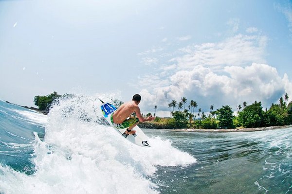 Surf Beach Landscape With Palm Trees