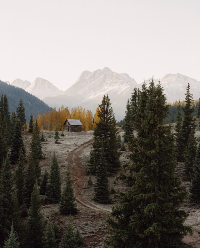 Snowy Mountains Pine Trees Rustic Cabin Dirt Path