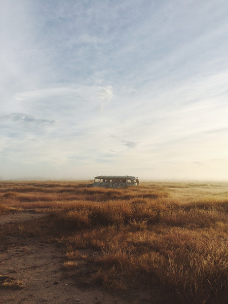 Golden Grassland Landscape Sunset Photography