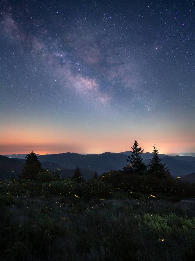 Starry Night Mountain Landscape Fireflies