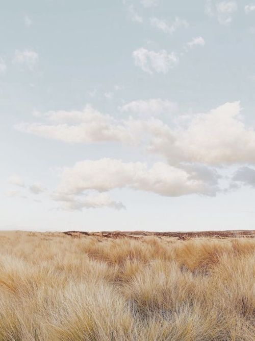 Landscape Prairie Grasses Cloudy Sky