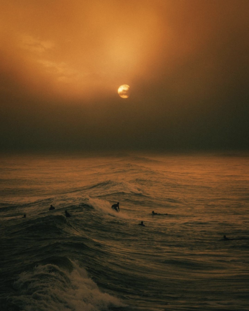 Sunset Surfer Ocean Waves Landscape