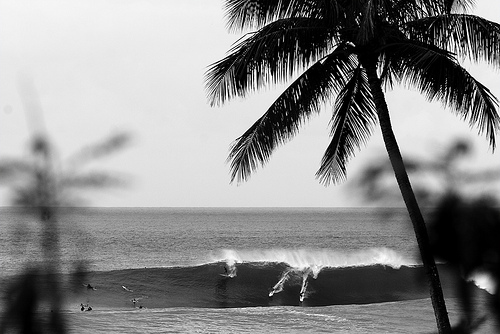 Tropical Beach Landscape Photography