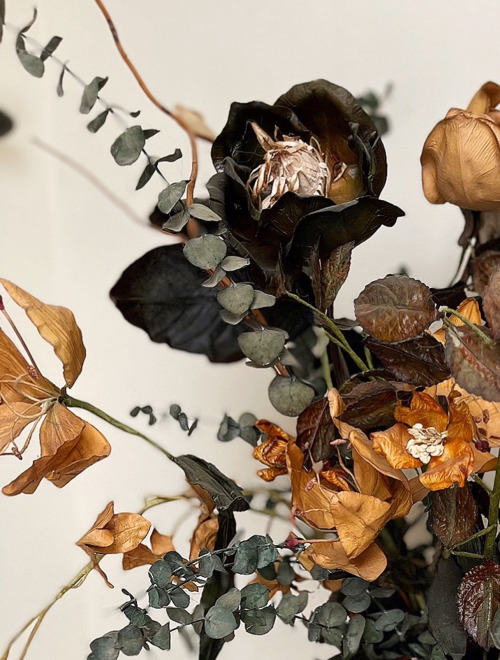 Withered Rose Floral Still Life